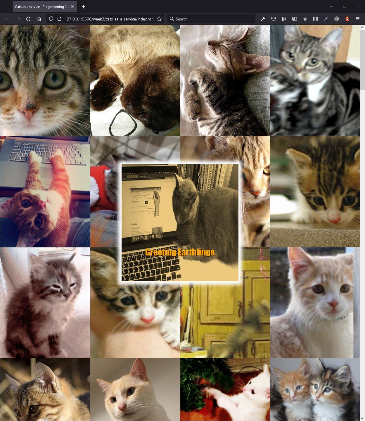 Eindresultaat Cats as a service in the webbrowser
